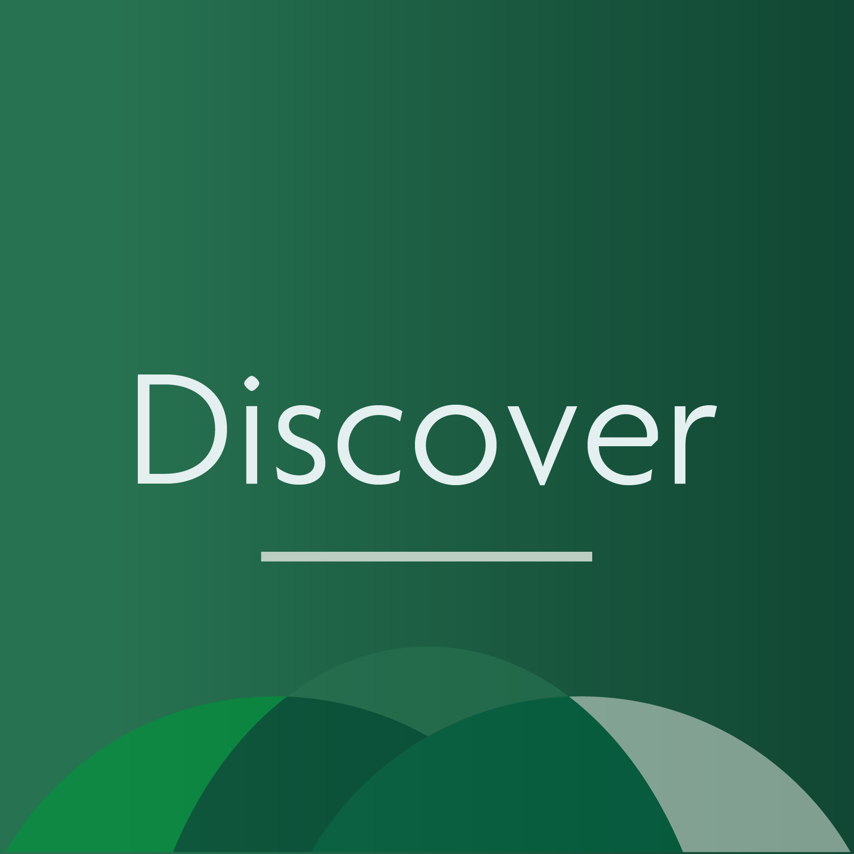 Discover